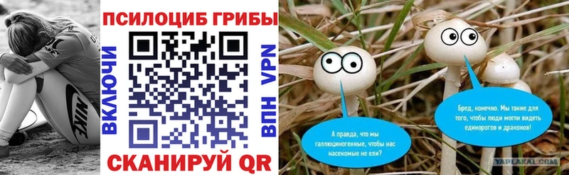 Купить закладки  Малая Вишера  Галлюциногенные грибы ЛСД 